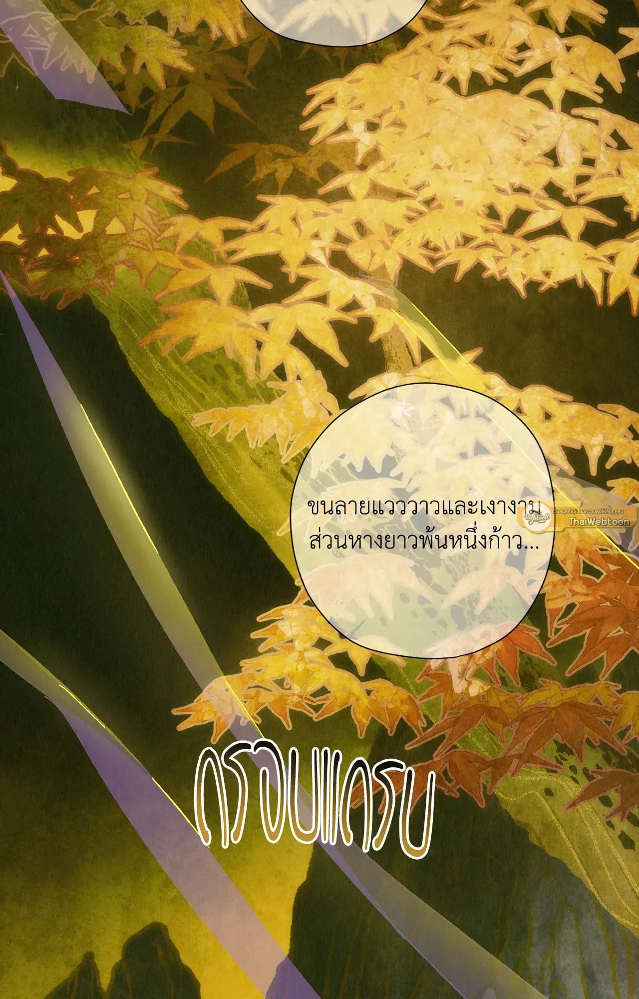 บ่วงรักข้ามภพ ตอนที่ 802