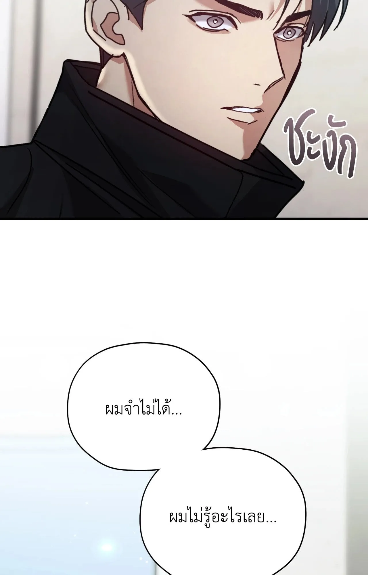 Twin Guide ตอนที่ 10066