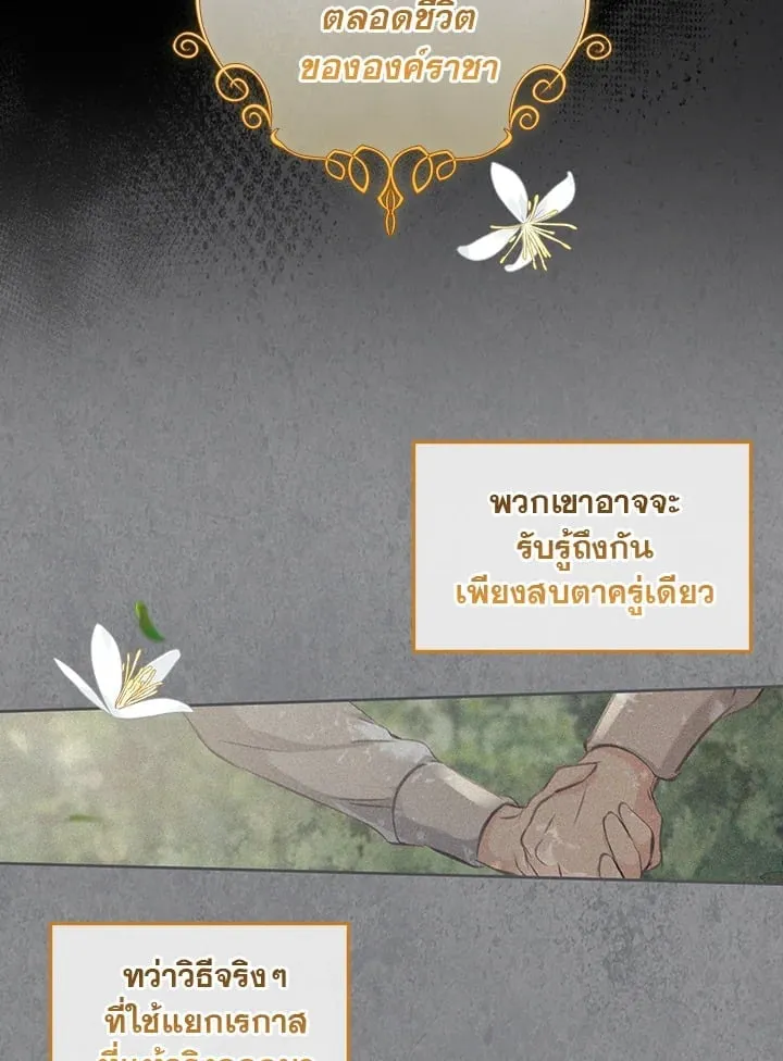 เรกาส ตอนที่ 5112