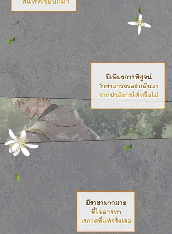 เรกาส ตอนที่ 5113