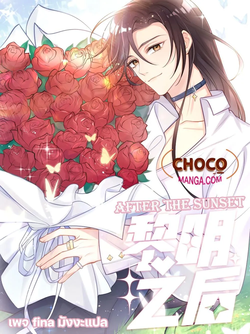 After The Sunset 101