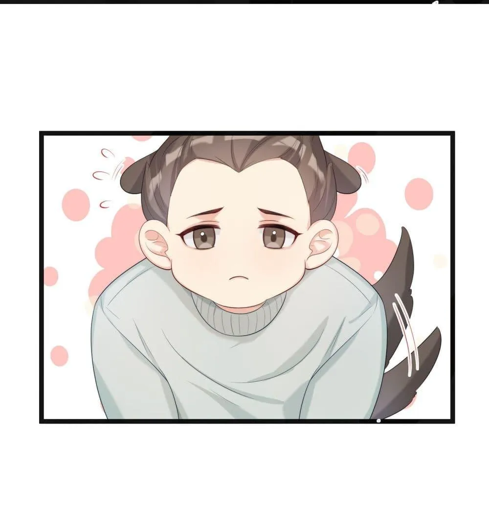 After The Sunset 223