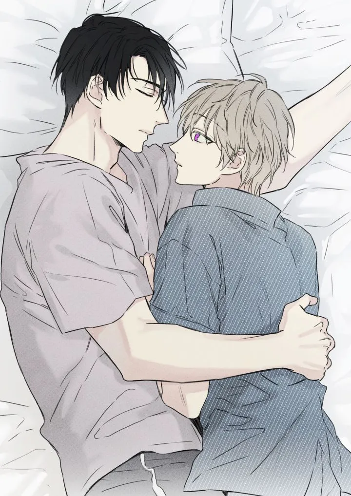 After The Sunset 526