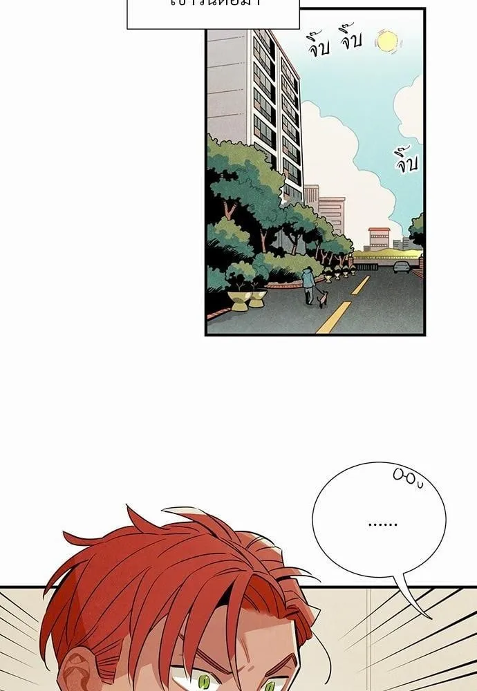 Alien in My Wardrobe ตอนที่ 616