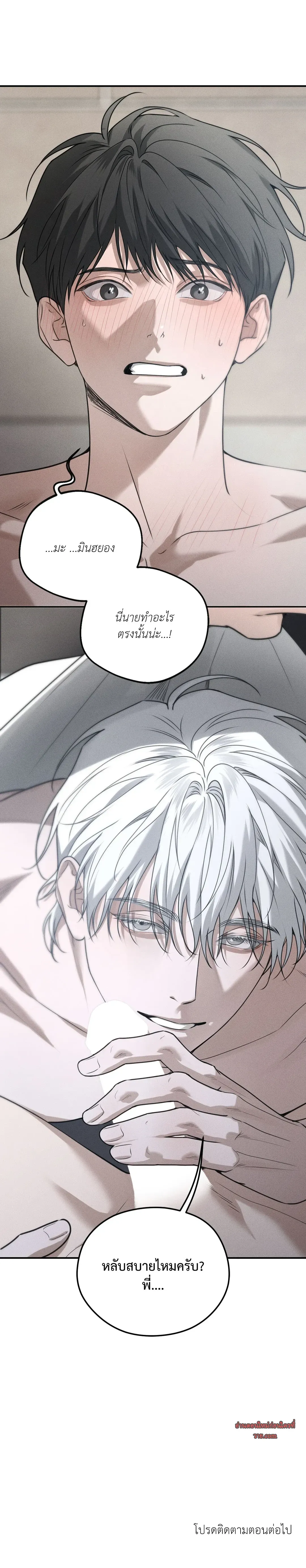 Dear Teddy Bear 2810