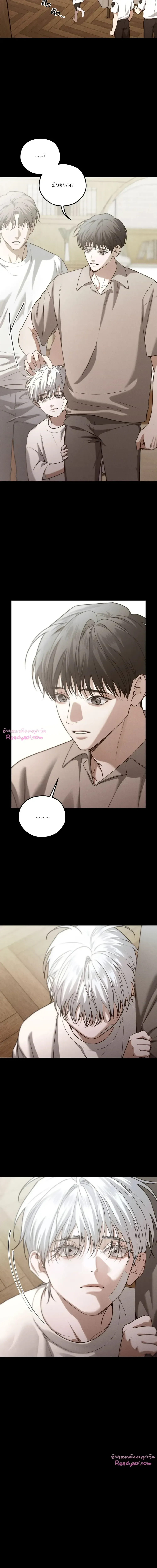 Dear Teddy Bear 3111