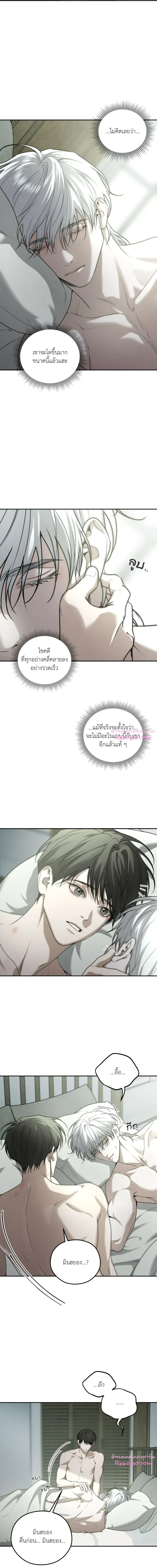 Dear Teddy Bear 3113