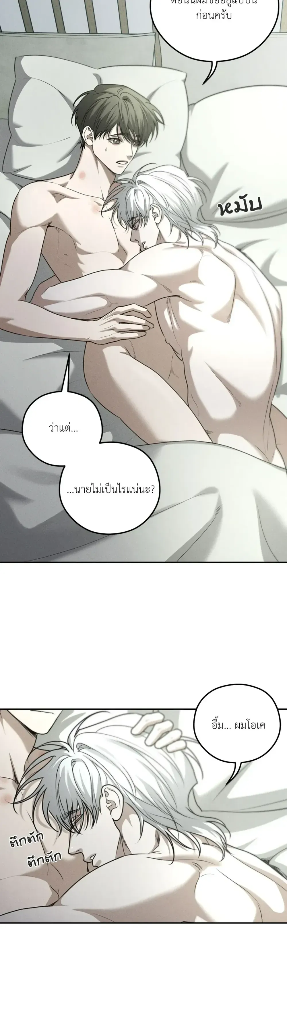 Dear Teddy Bear 3116