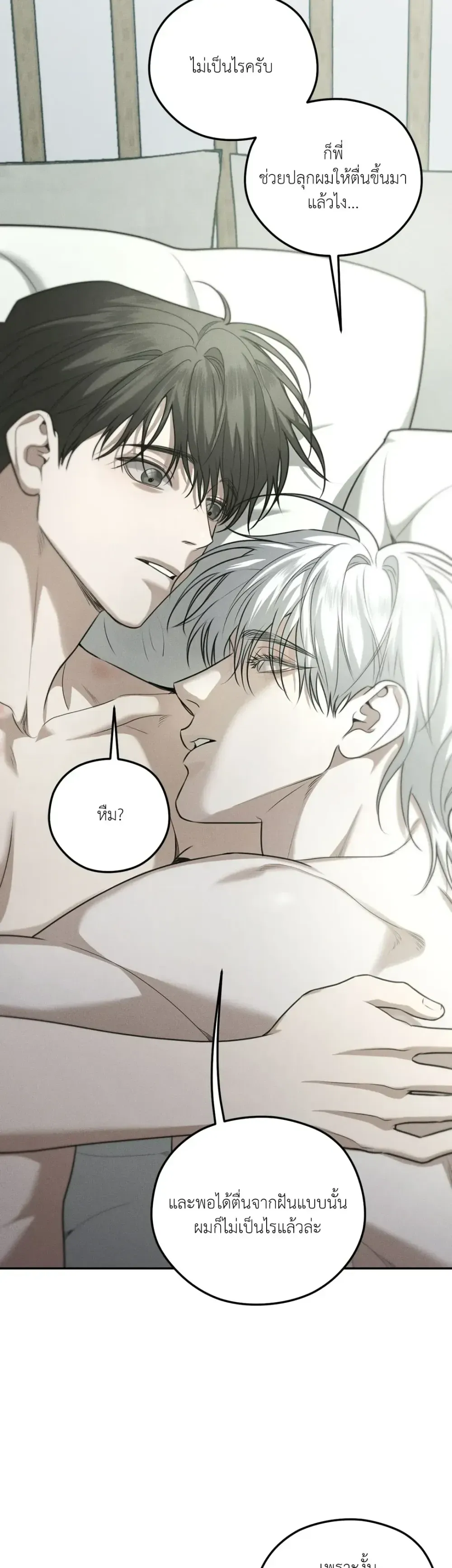 Dear Teddy Bear 3118