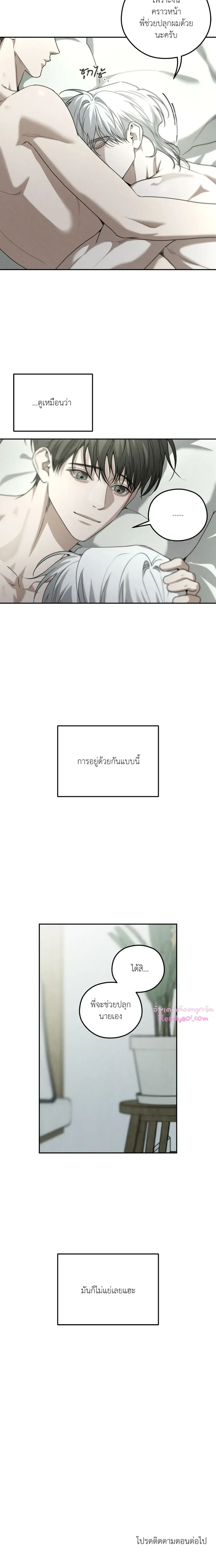 Dear Teddy Bear 3119