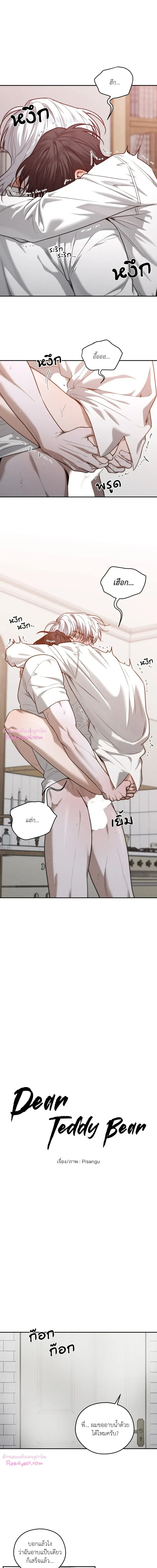 Dear Teddy Bear 3401