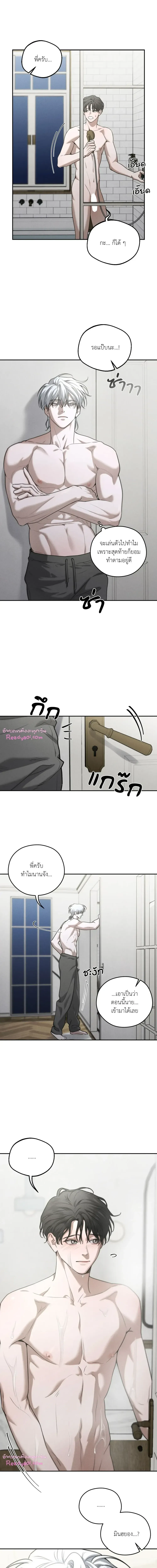 Dear Teddy Bear 3403