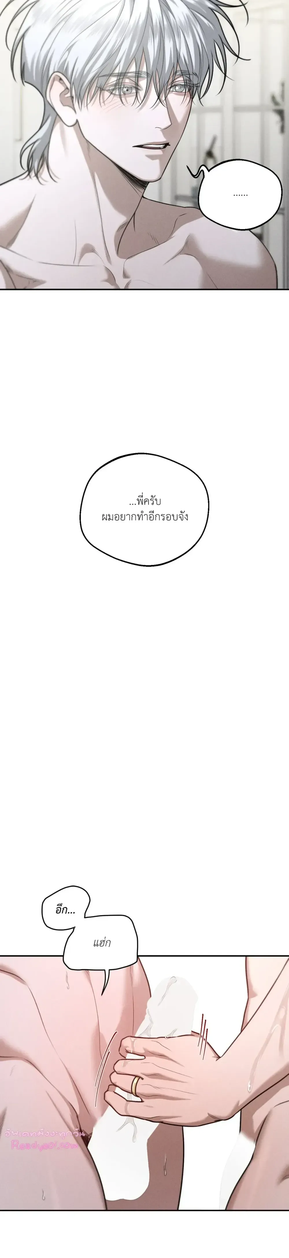 Dear Teddy Bear 3404