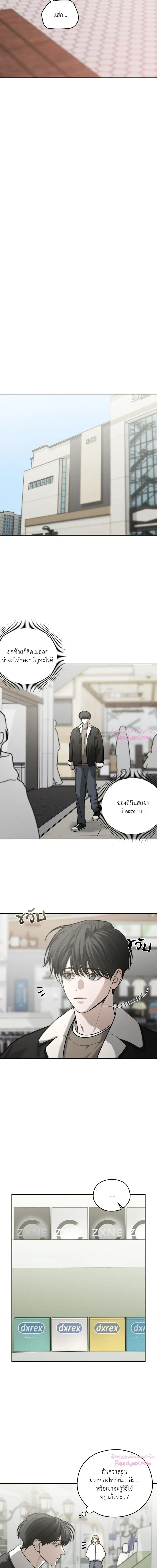 Dear Teddy Bear 3409