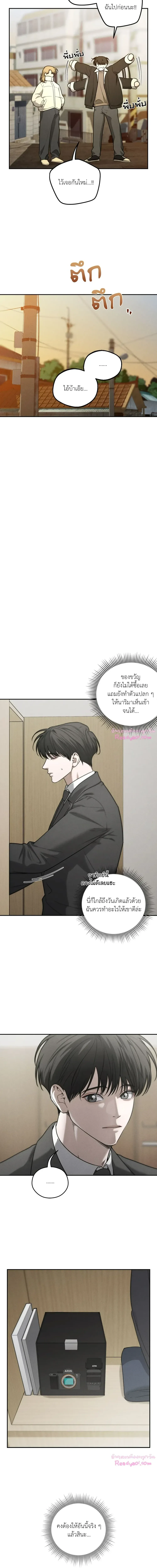 Dear Teddy Bear 3413