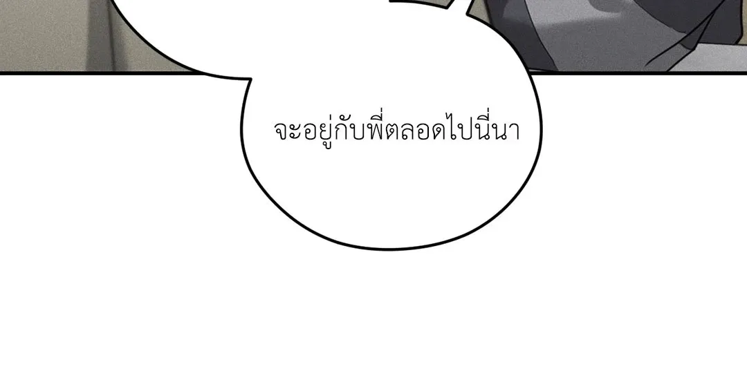 Dear Teddy Bear 3517