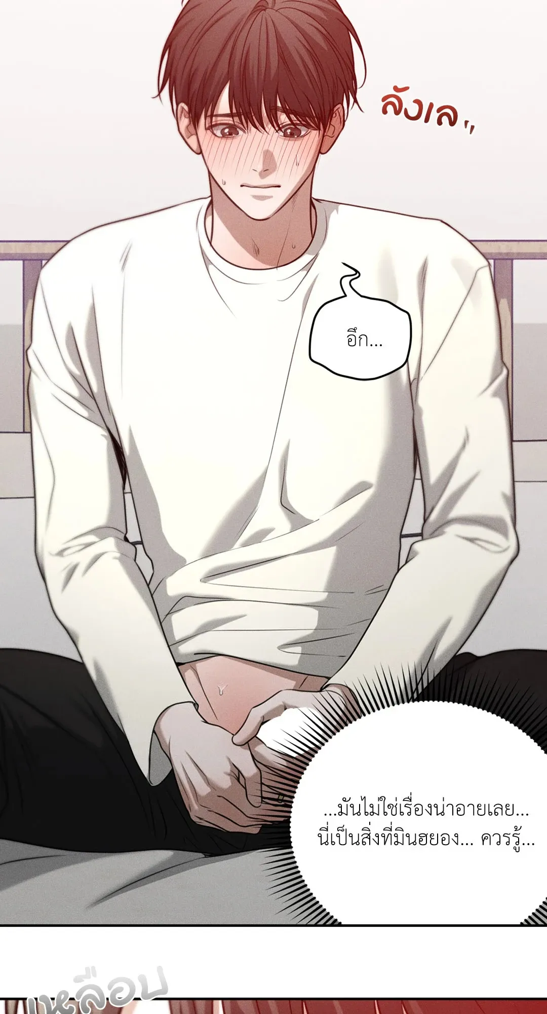 Dear Teddy Bear 3537