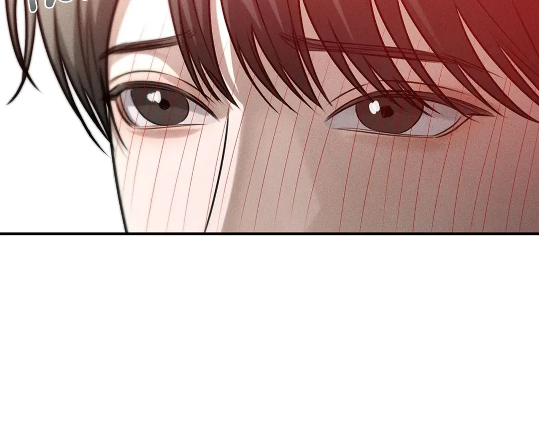 Dear Teddy Bear 3538