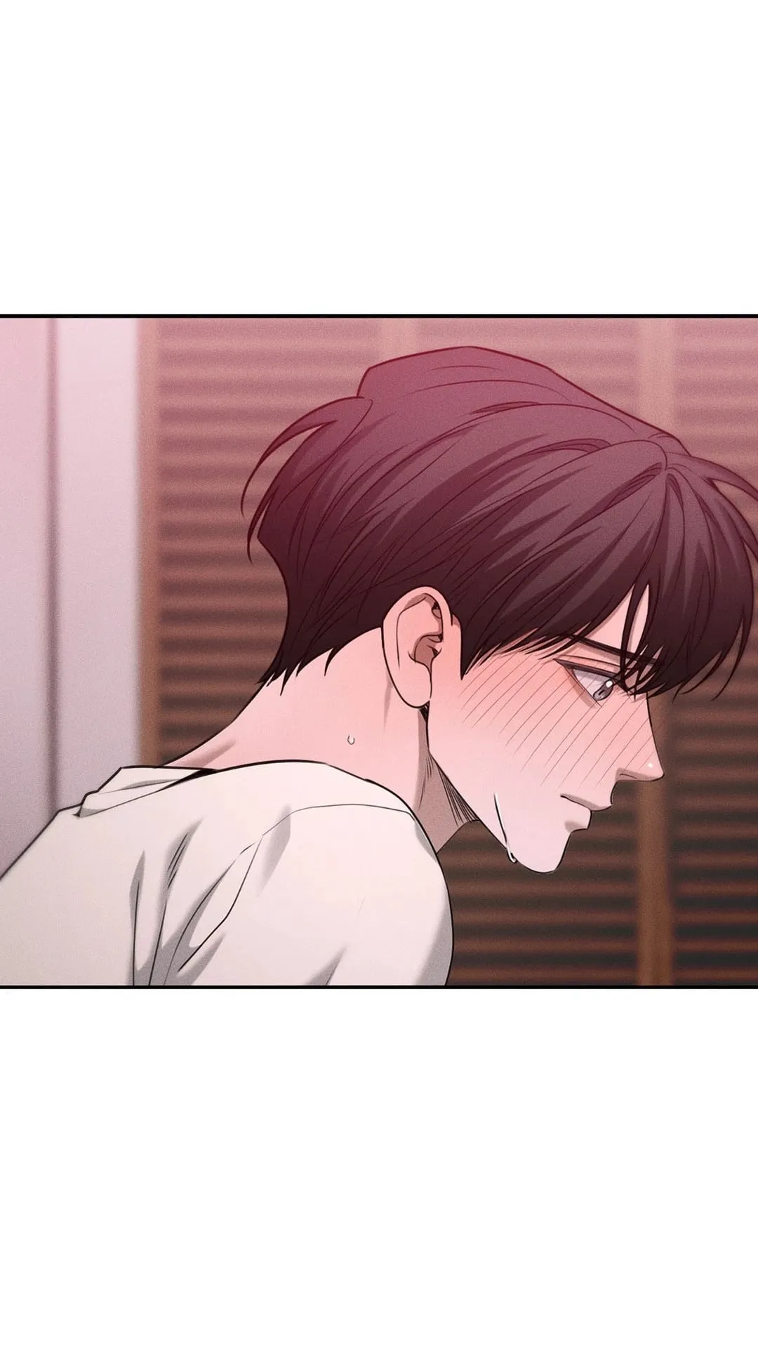 Dear Teddy Bear 3601