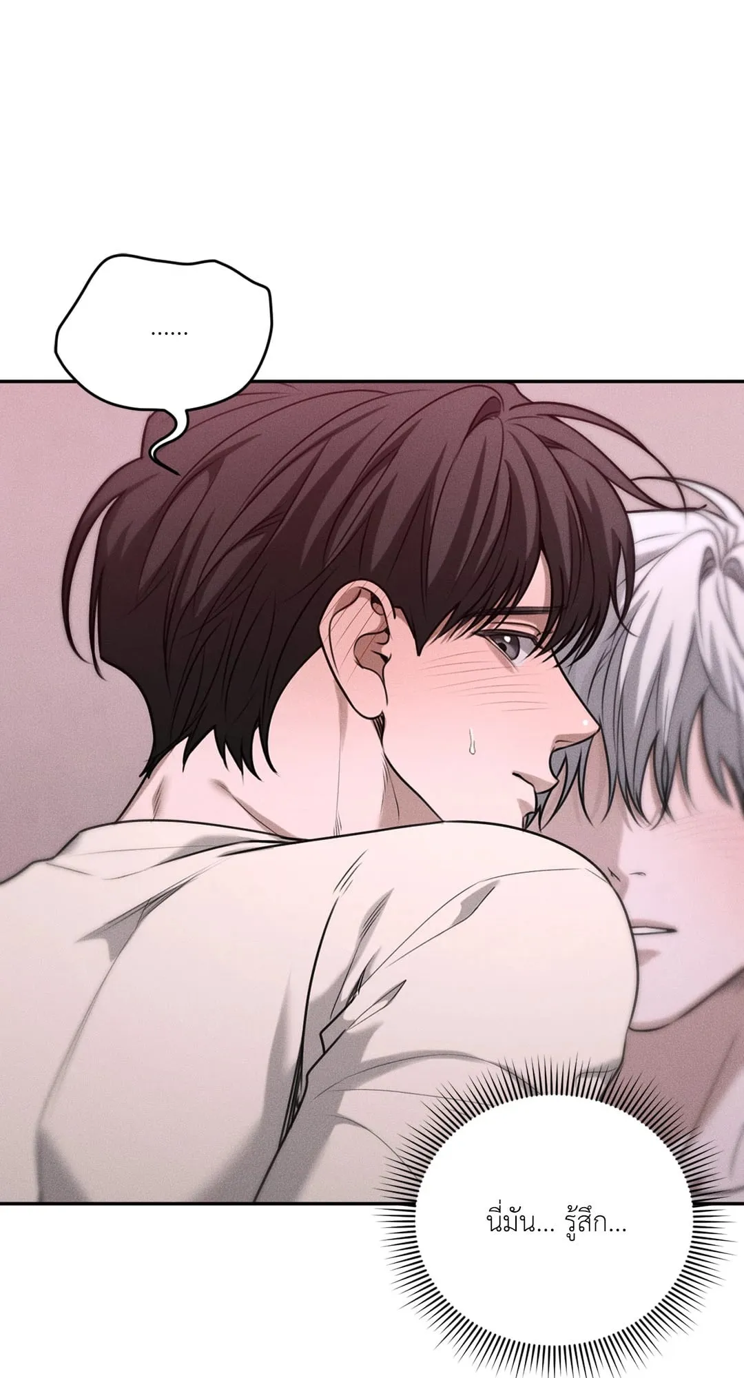 Dear Teddy Bear 3611