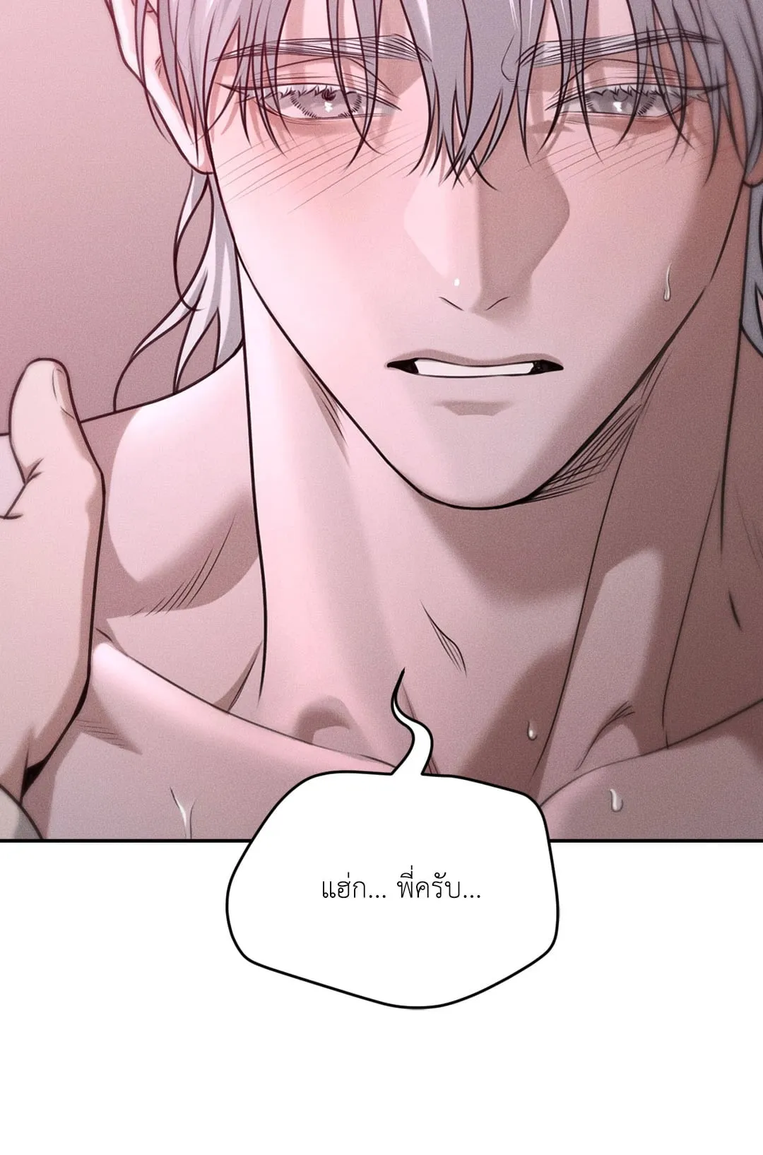 Dear Teddy Bear 3614