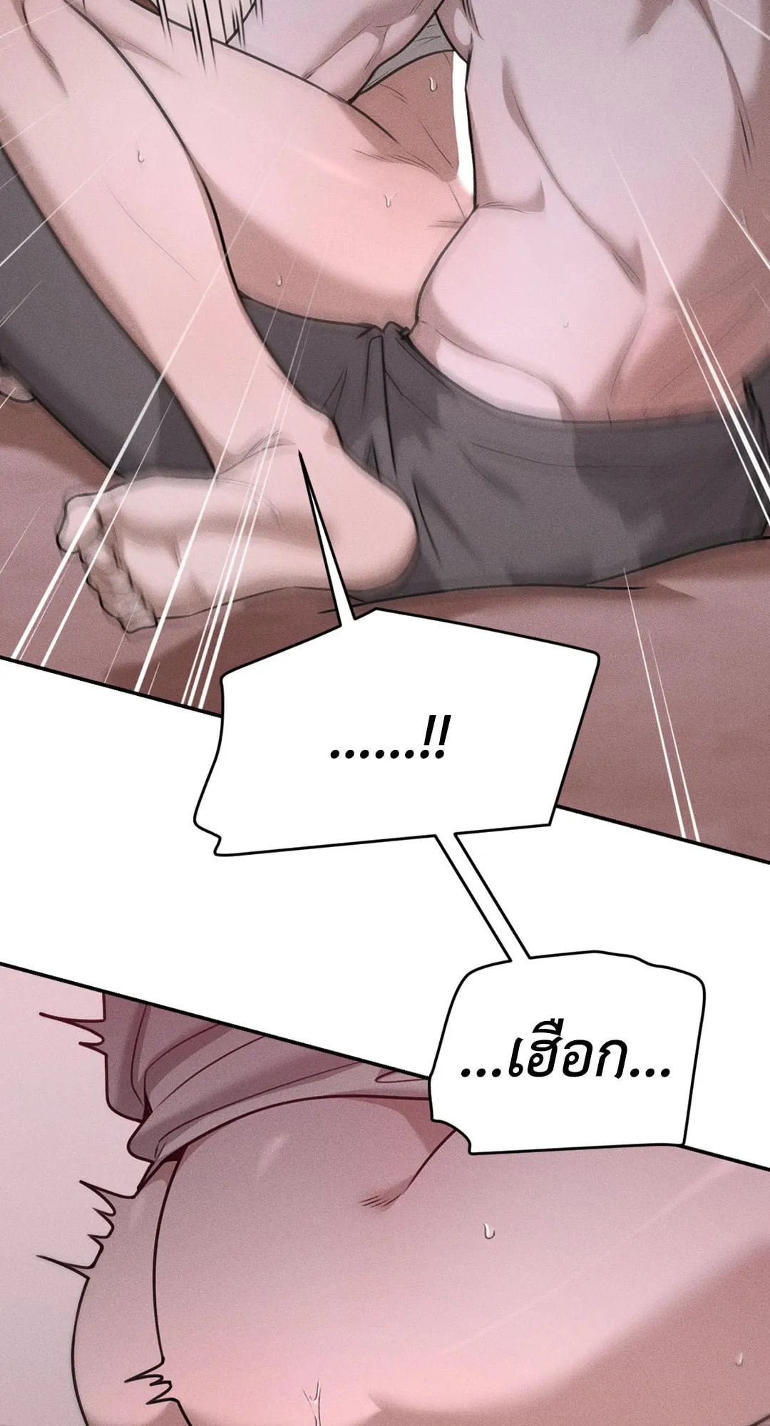 Dear Teddy Bear 3617