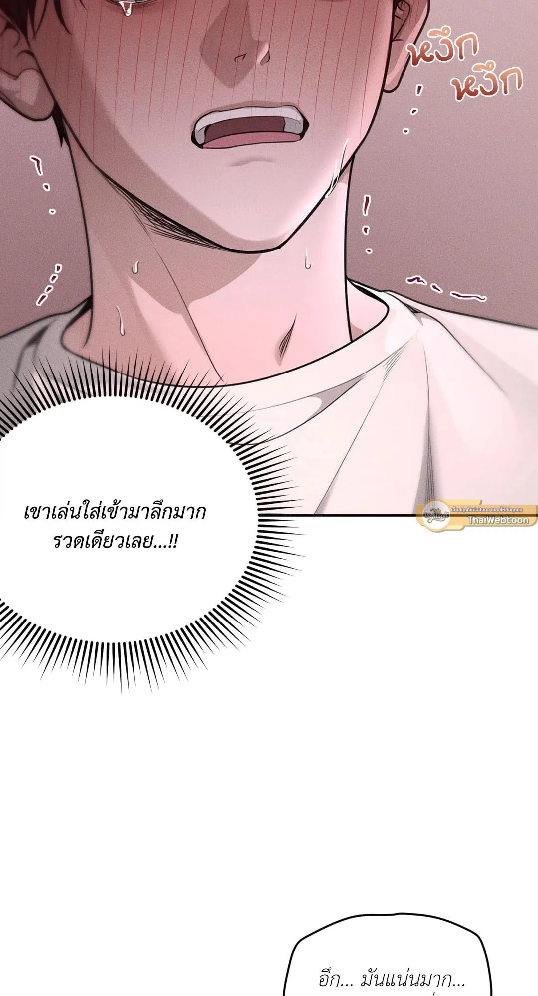 Dear Teddy Bear 3619