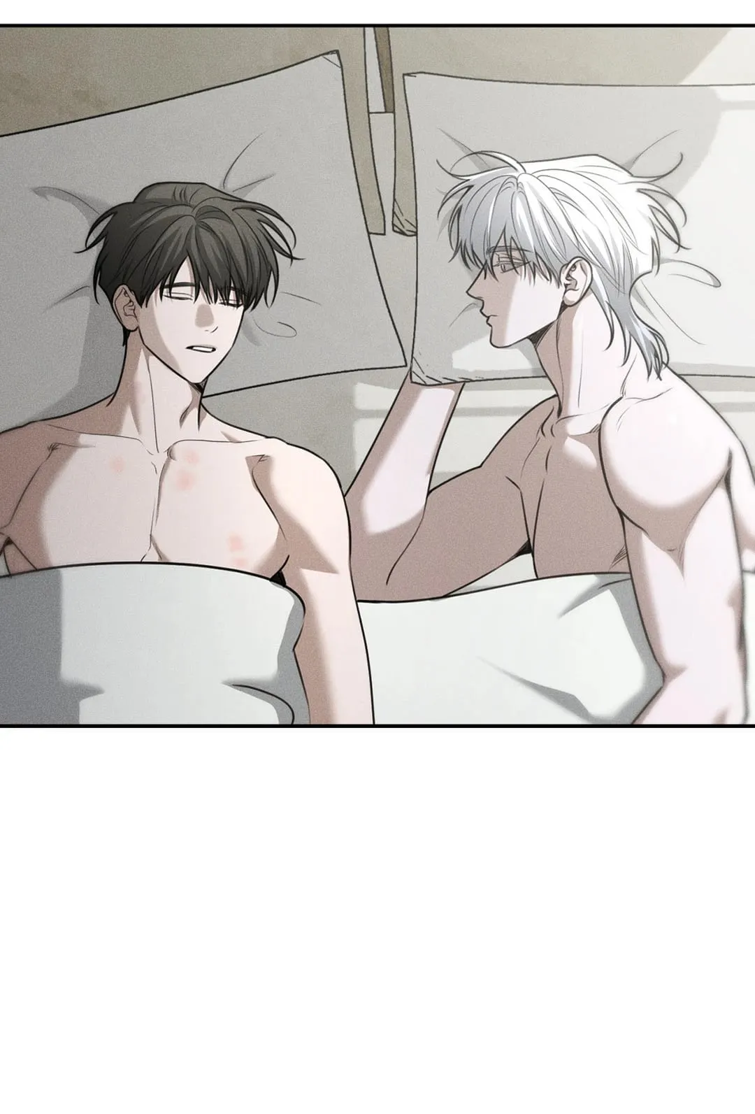 Dear Teddy Bear 3647