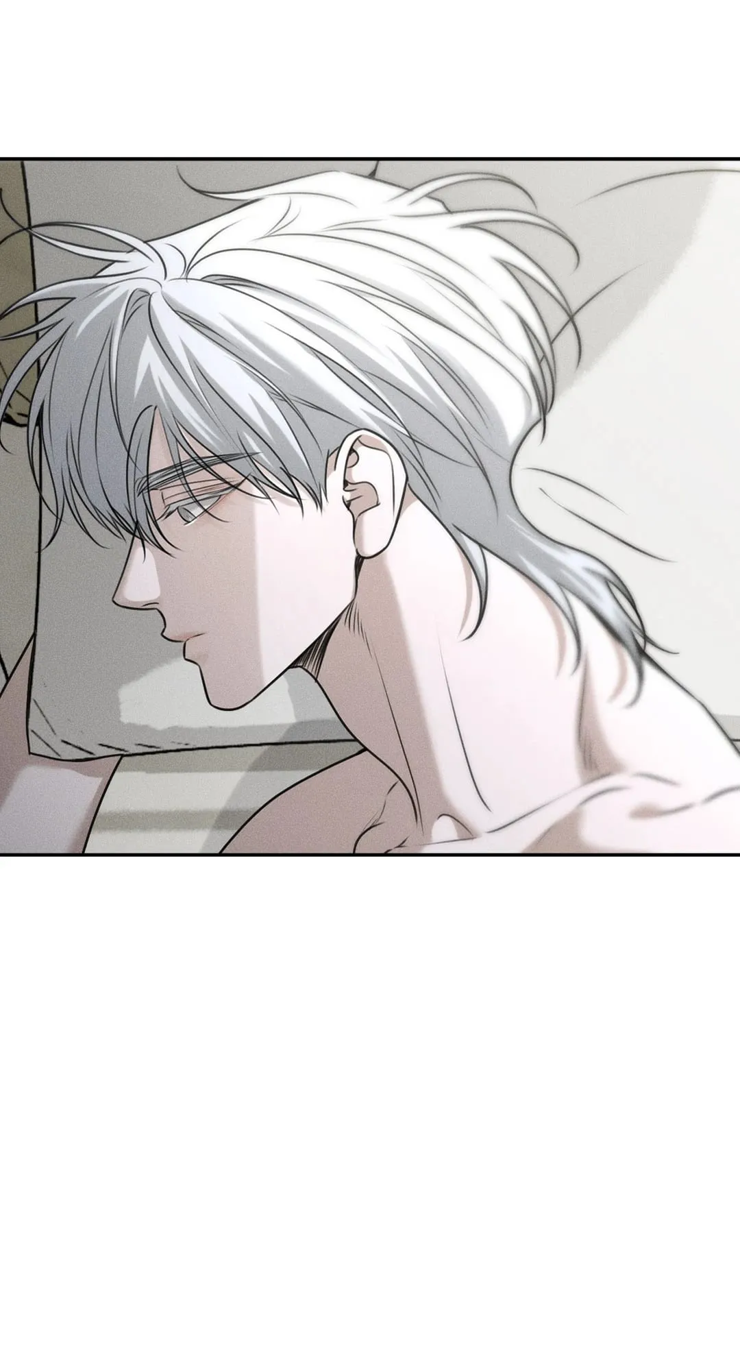 Dear Teddy Bear 3648