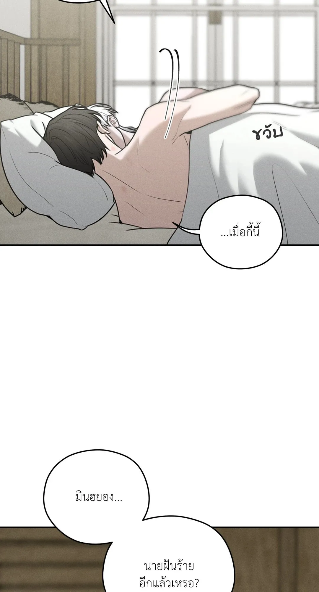 Dear Teddy Bear 3652