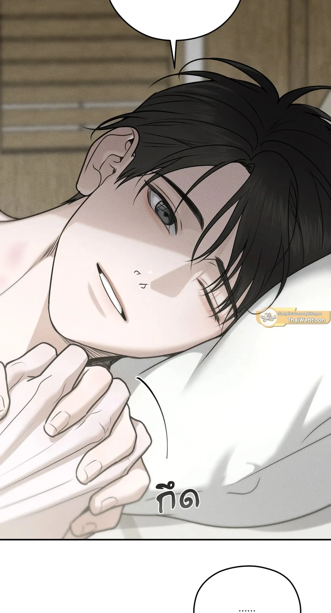 Dear Teddy Bear 3653