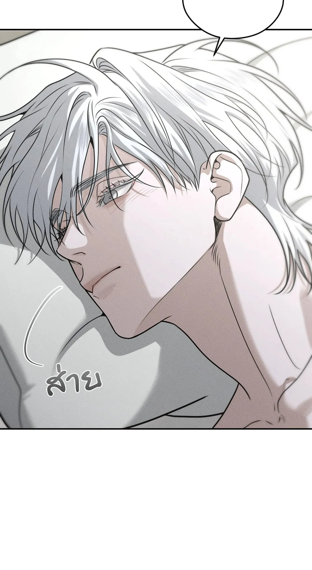 Dear Teddy Bear 3654