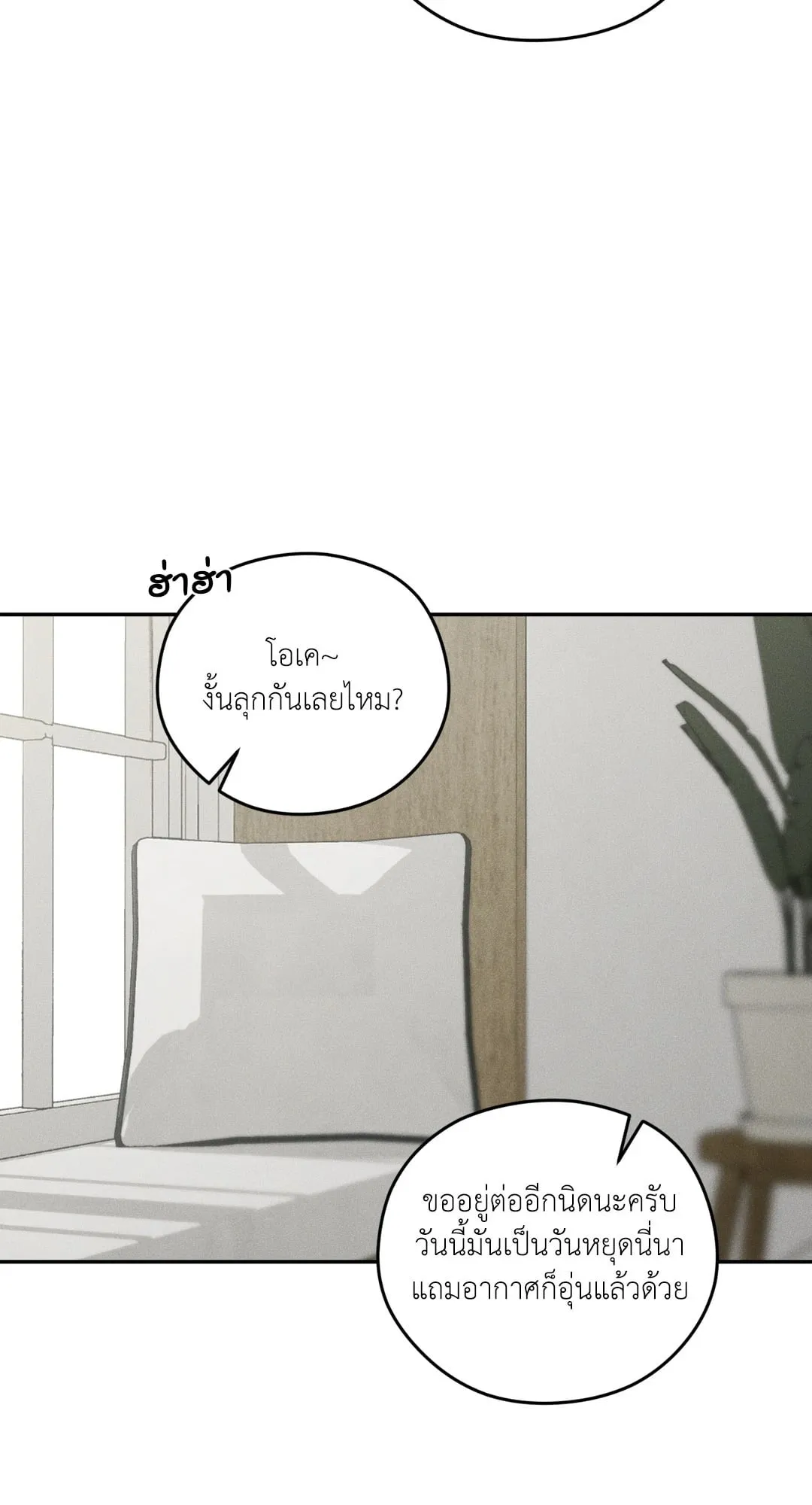 Dear Teddy Bear 3656