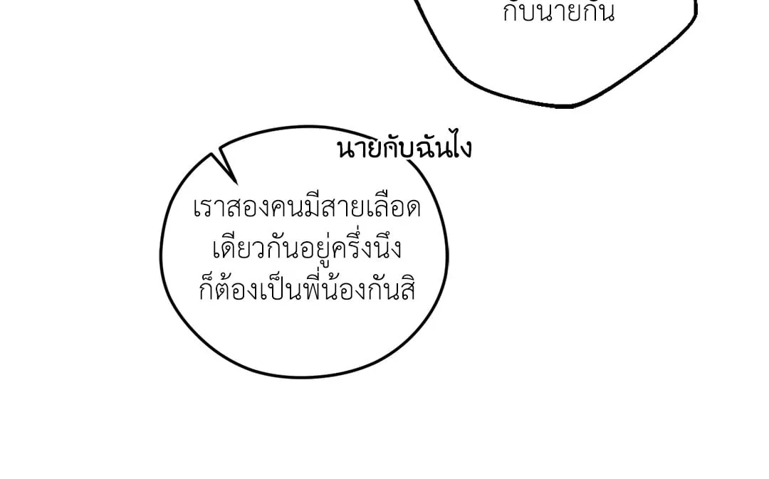 Dear Teddy Bear 3909