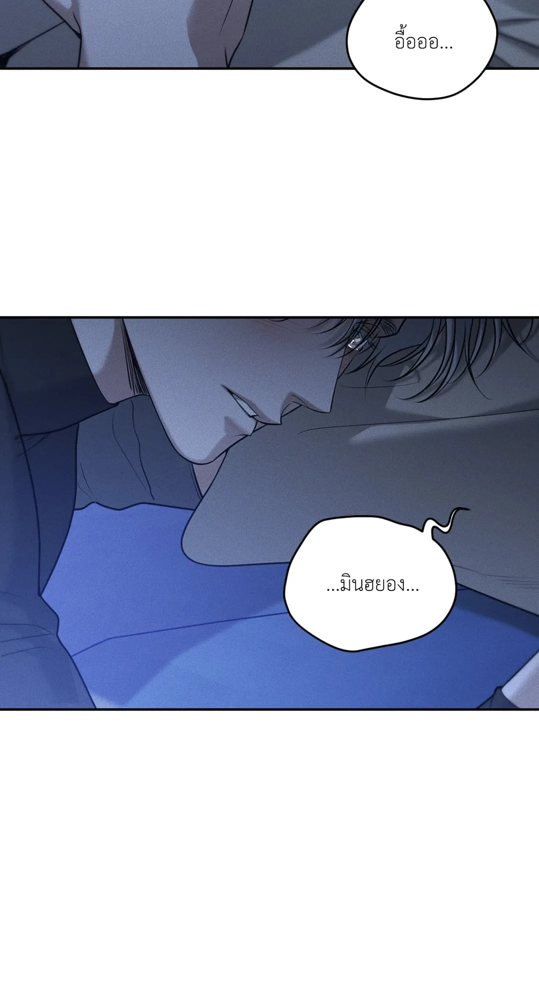 Dear Teddy Bear 3939