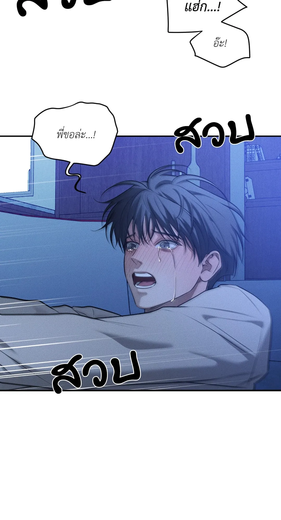 Dear Teddy Bear 3965