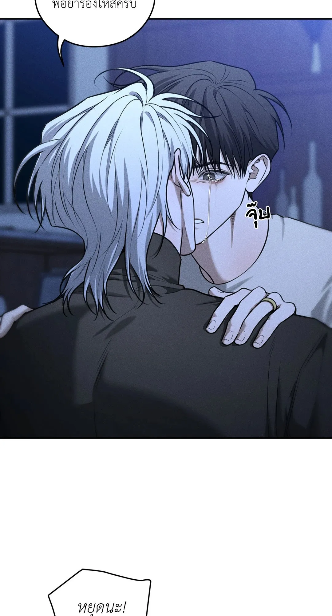 Dear Teddy Bear 4004