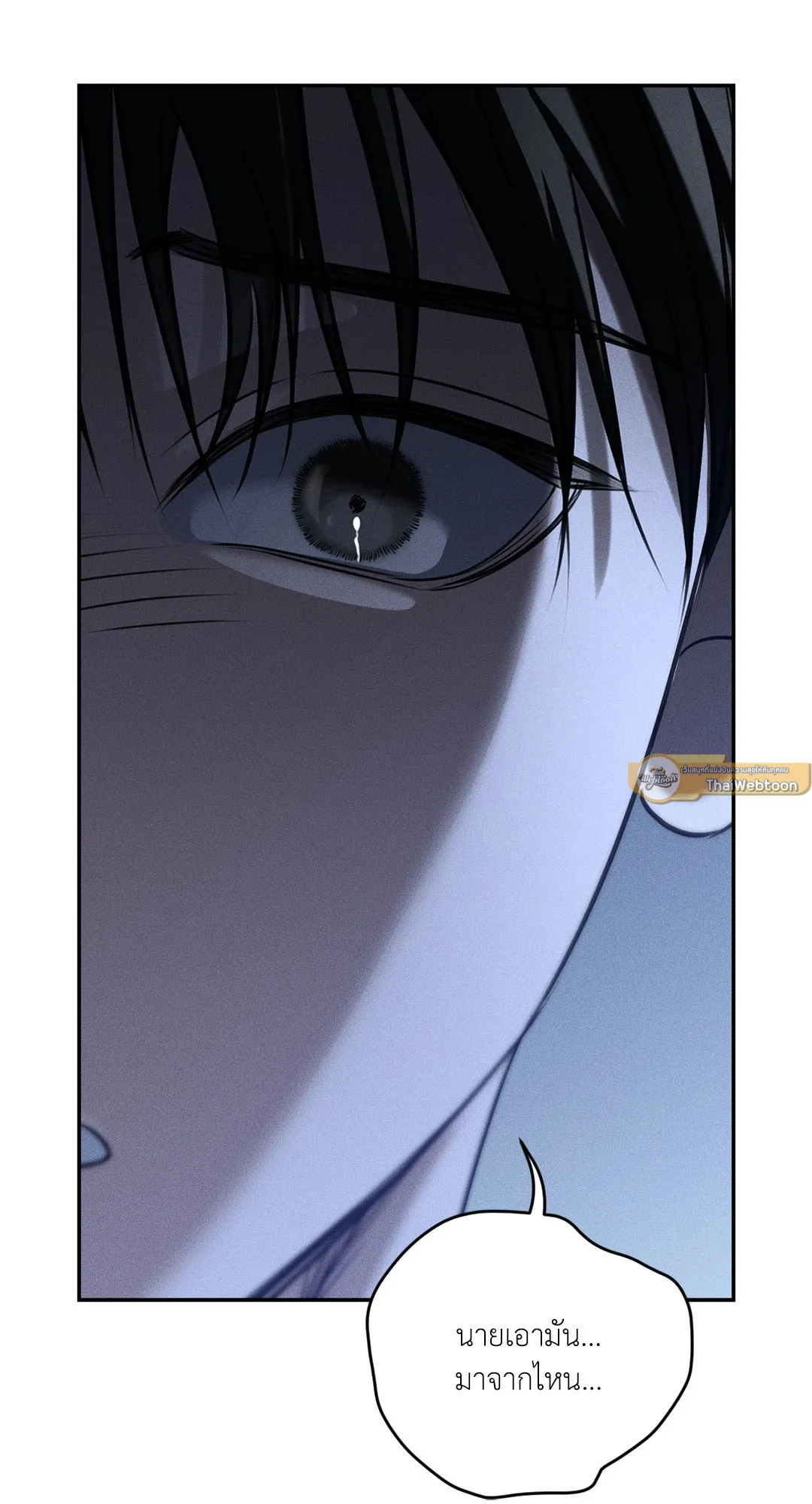 Dear Teddy Bear 4014