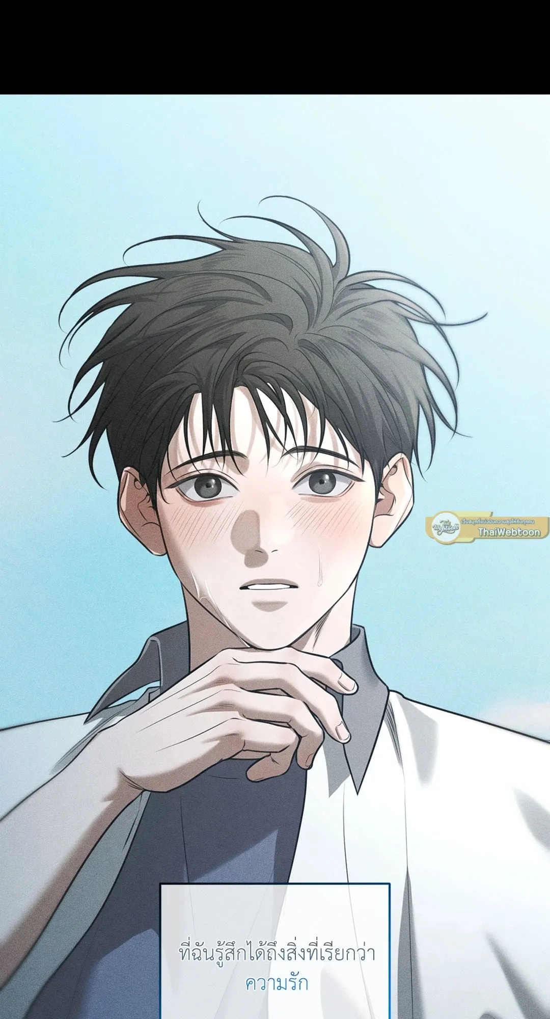 Dear Teddy Bear 4036