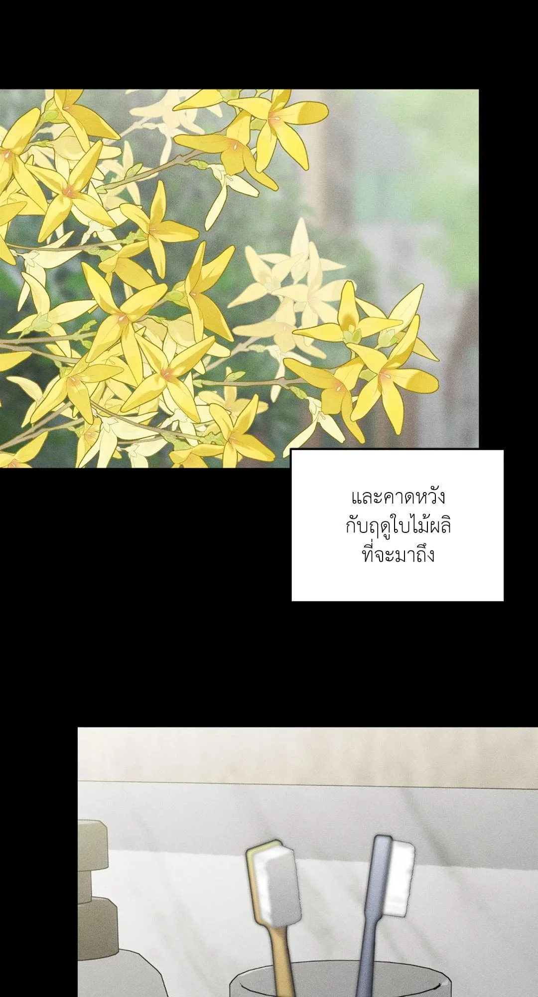 Dear Teddy Bear 4045