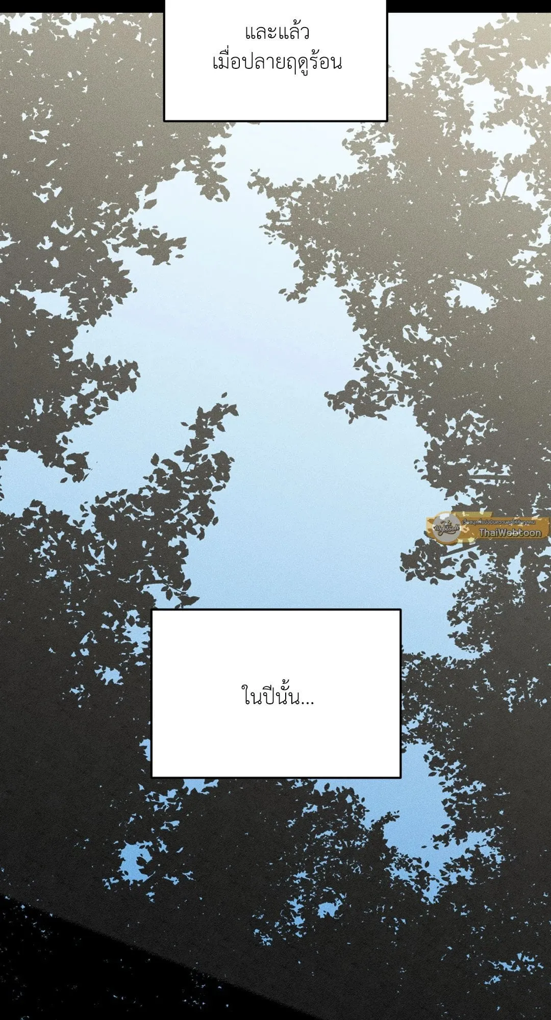 Dear Teddy Bear 4048