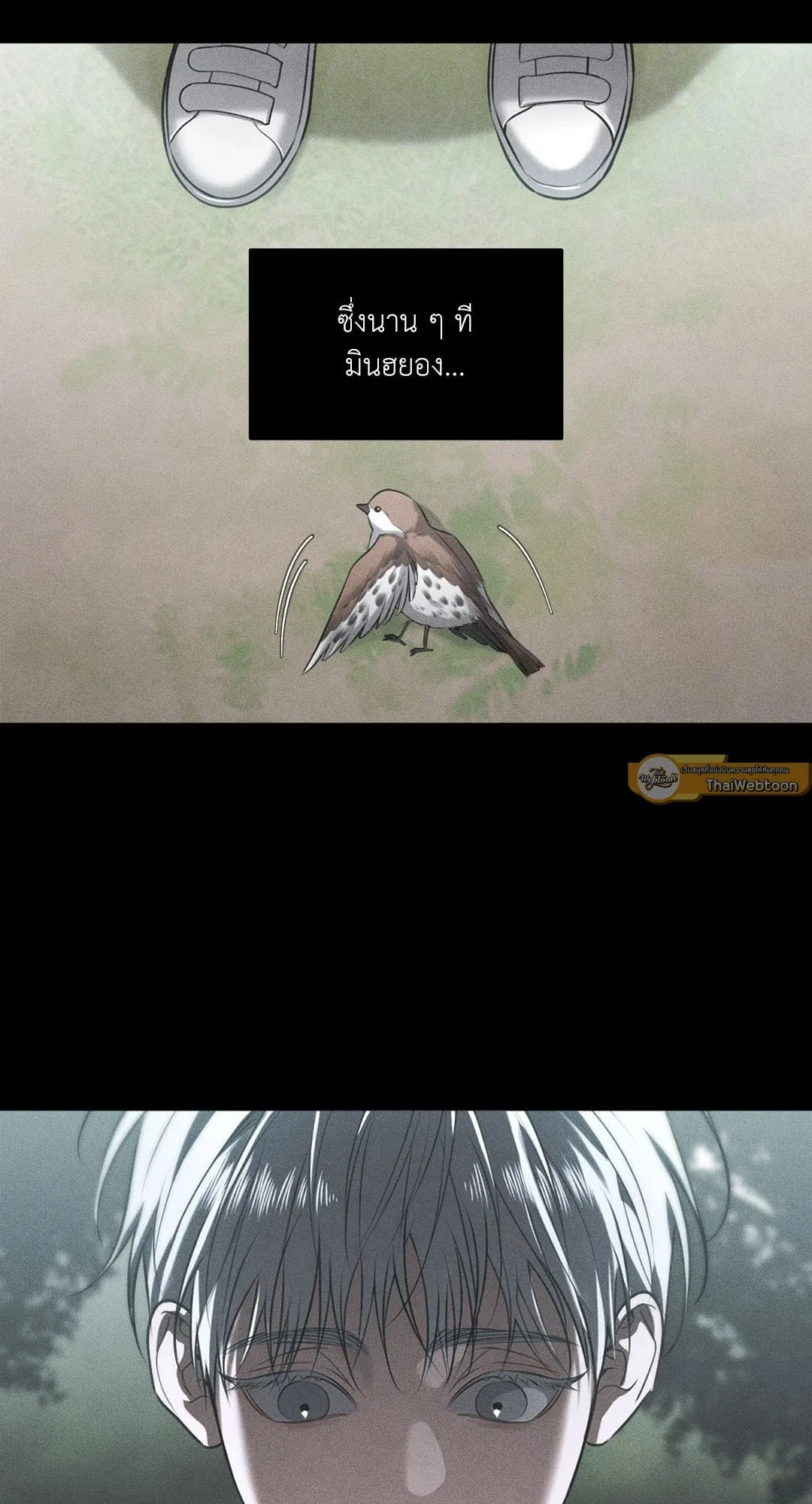 Dear Teddy Bear 4058