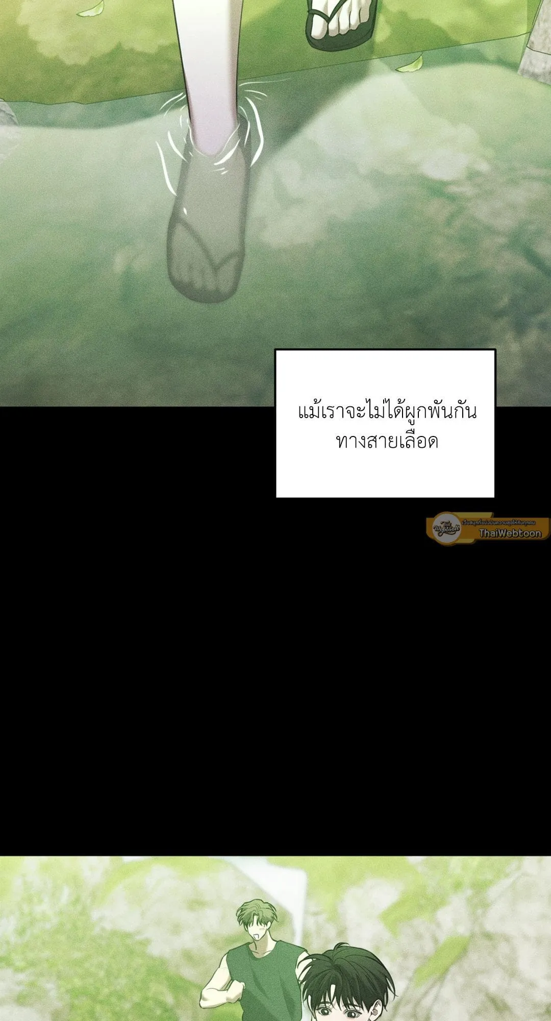 Dear Teddy Bear 4064