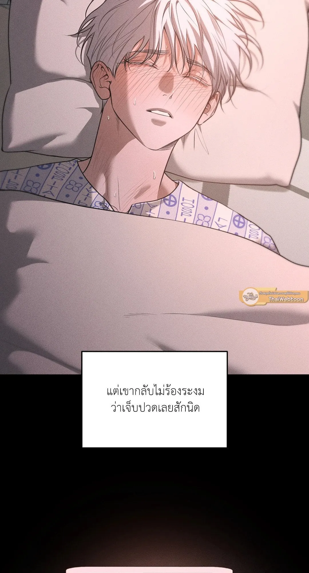 Dear Teddy Bear 4129