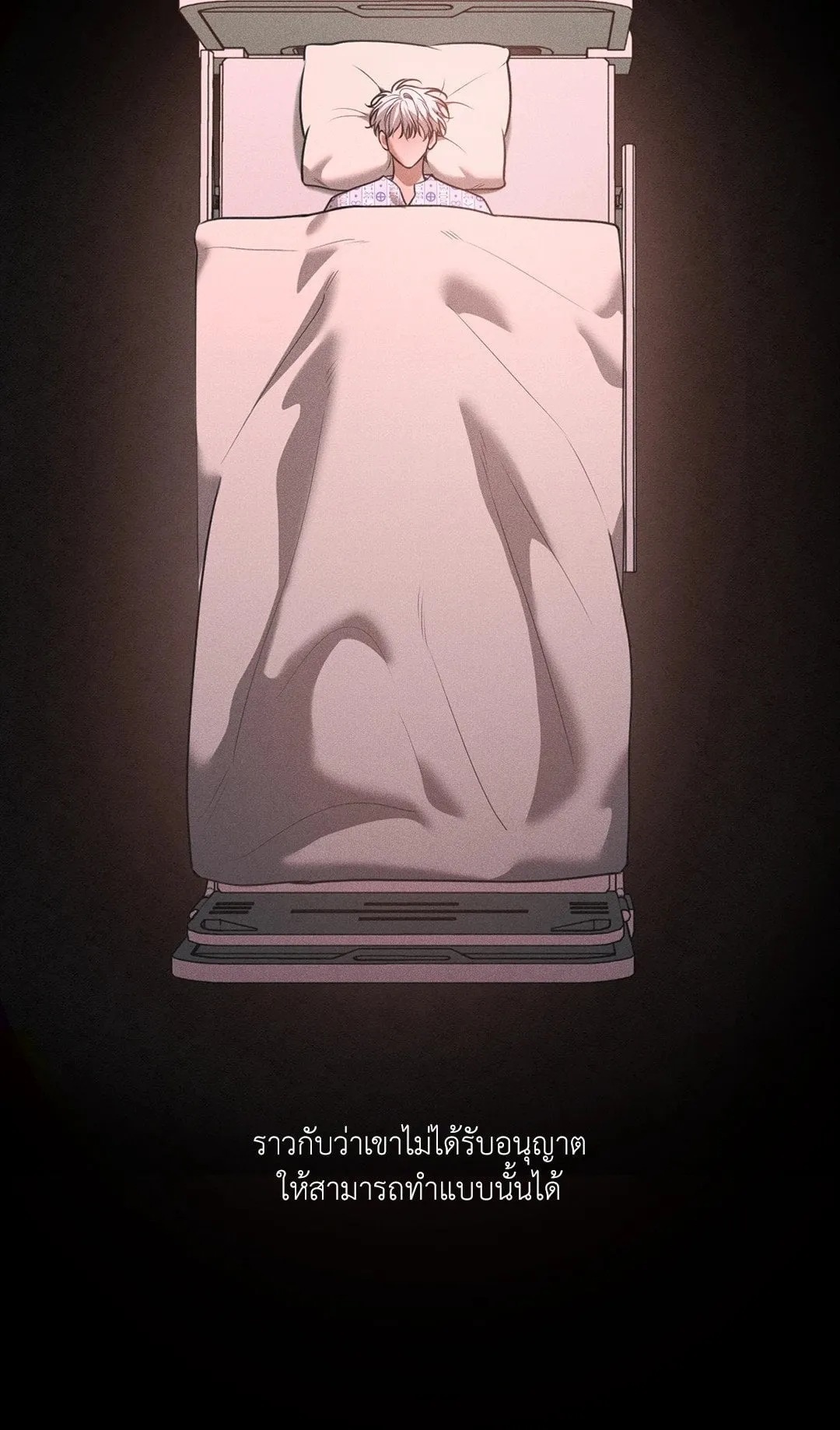 Dear Teddy Bear 4130