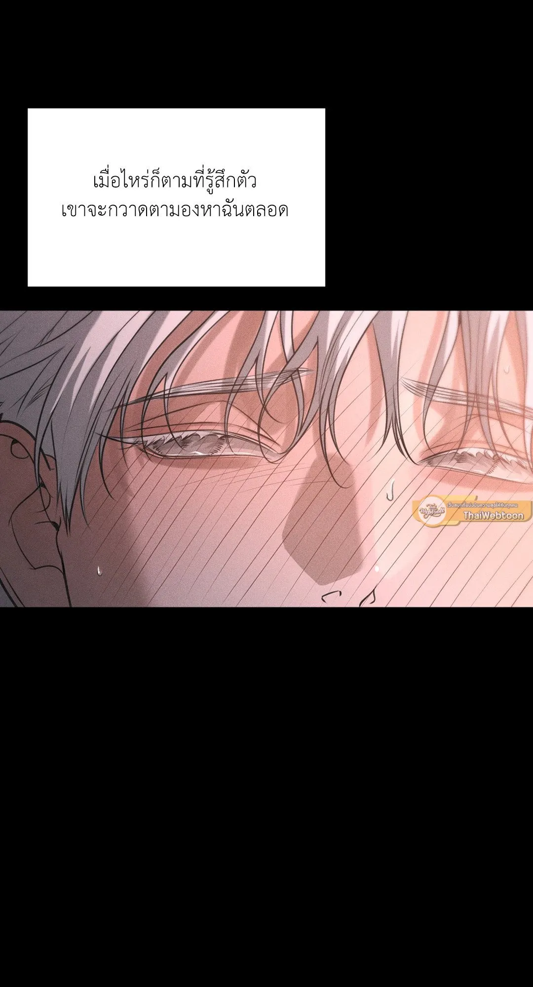 Dear Teddy Bear 4132