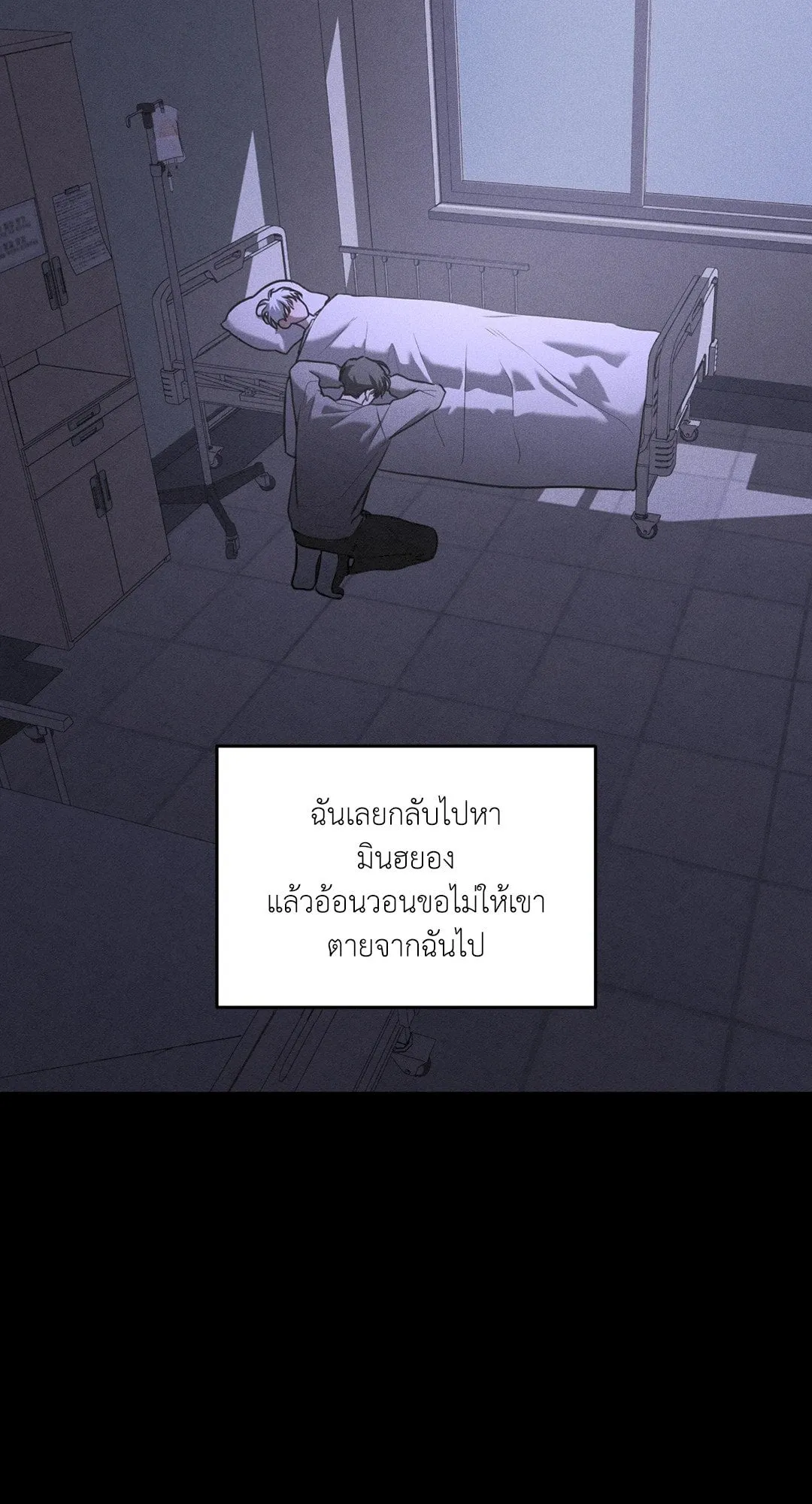 Dear Teddy Bear 4140