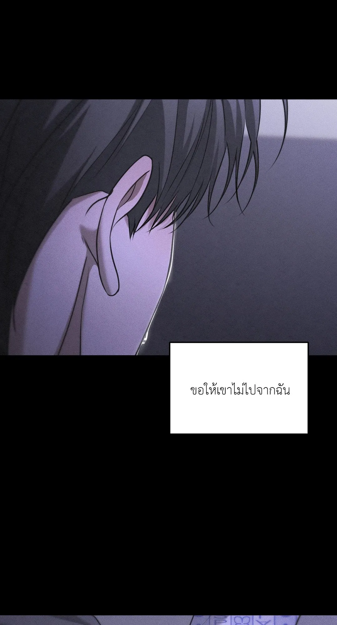 Dear Teddy Bear 4141