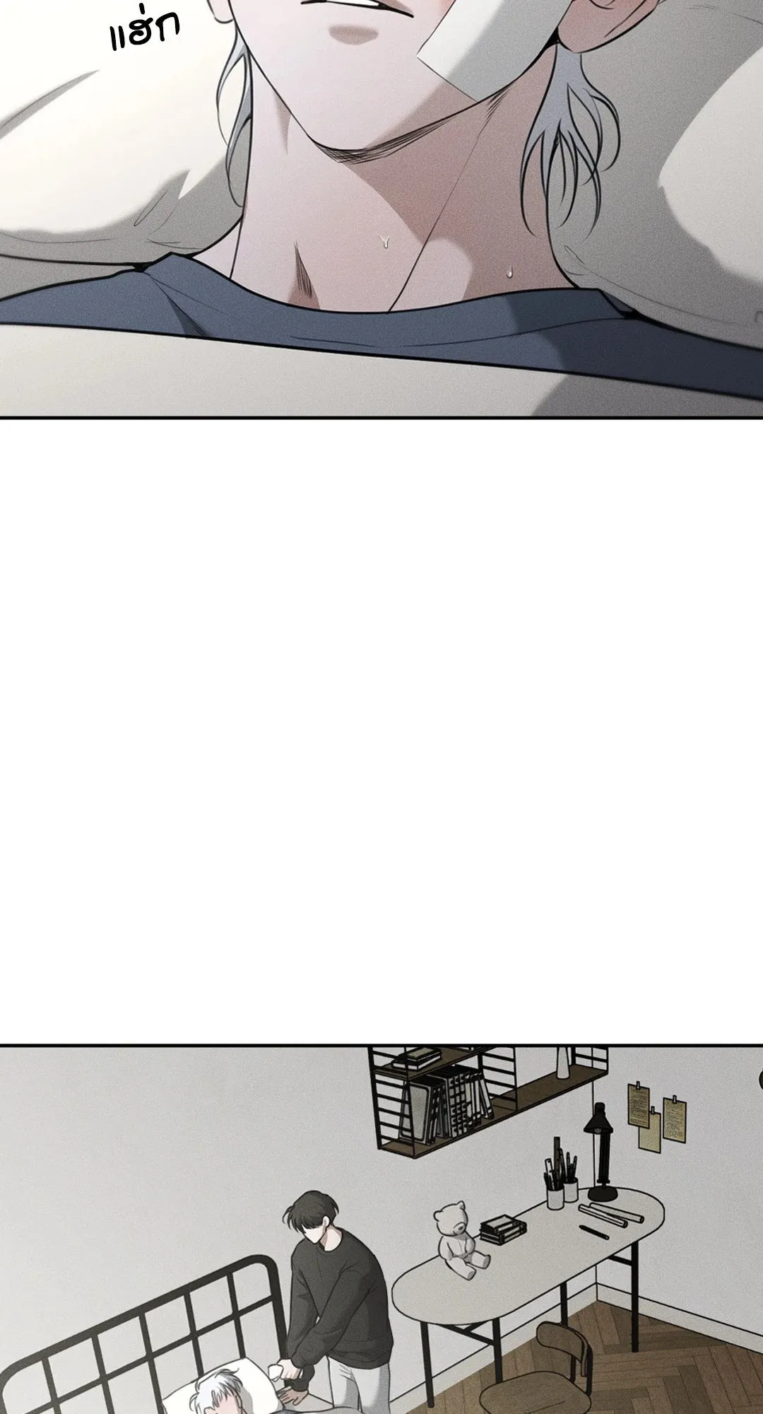 Dear Teddy Bear 4204