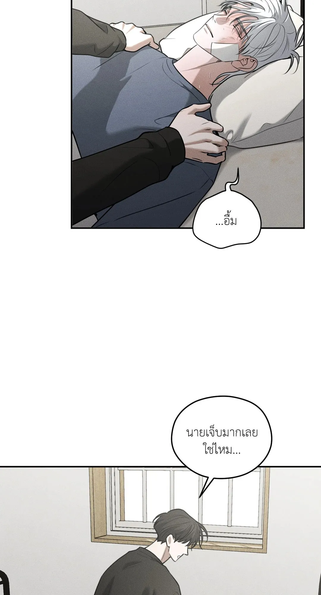 Dear Teddy Bear 4210